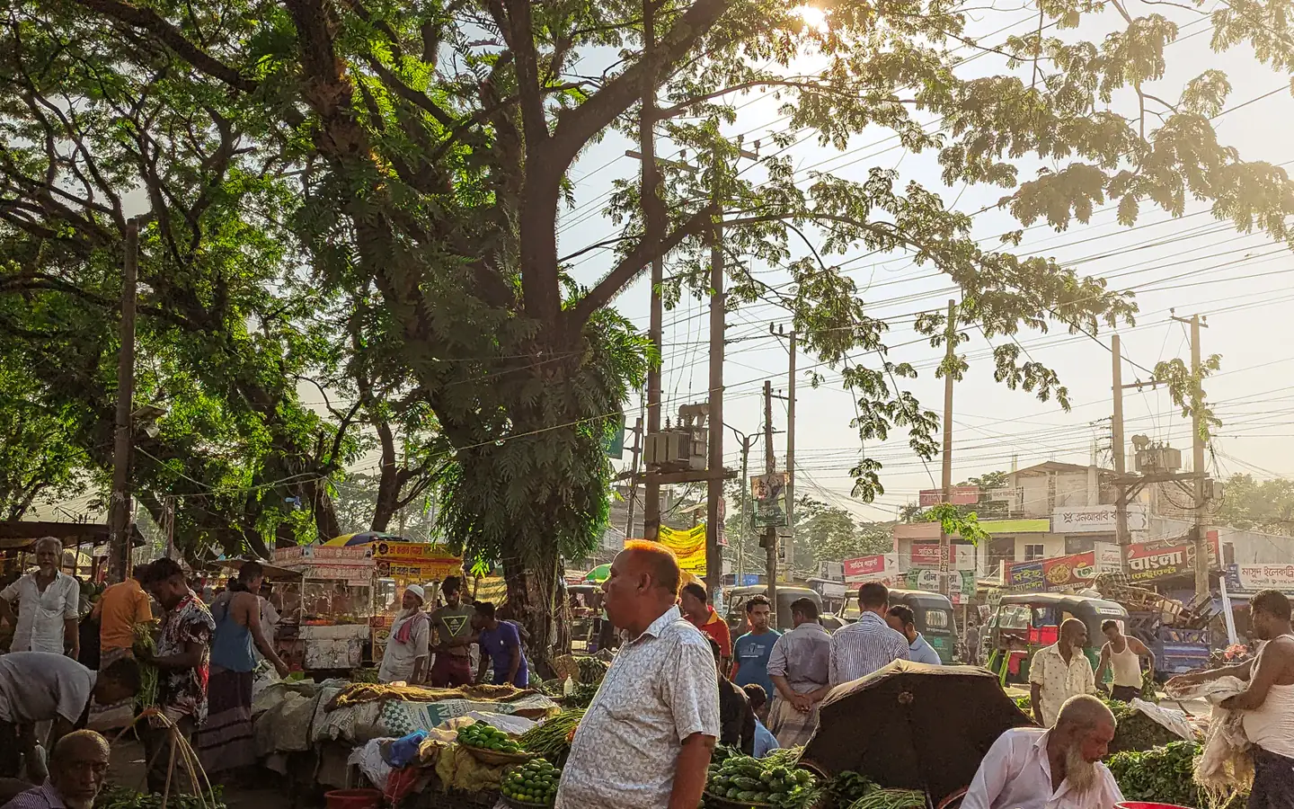 Farmers and shoppers gathered around produce stalls at an outdoor market